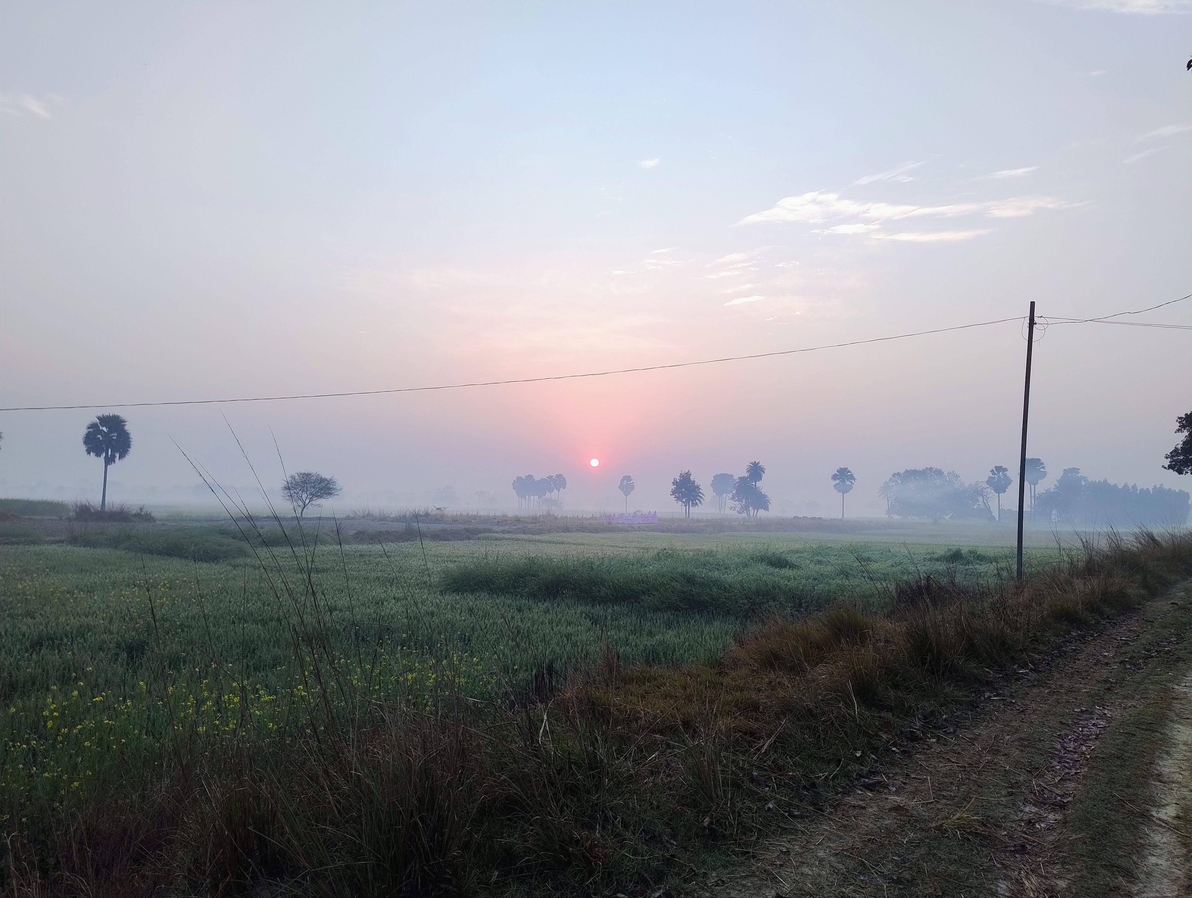 morning at koirgawan 2024